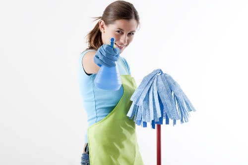 Professional hard floor cleaning for homes and businesses in W13