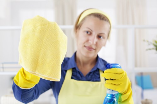 Professional window cleaning for homes in W13