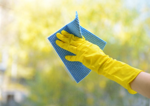 Transparent pricing and quote process for carpet cleaning in W13