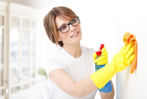 Professional domestic cleaning in a W13 property