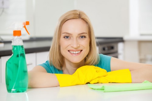 Close-up of carpet cleaning products and protective handling