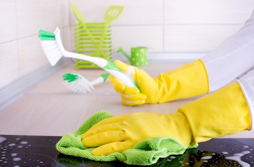 Local cleaning service for homes in W13