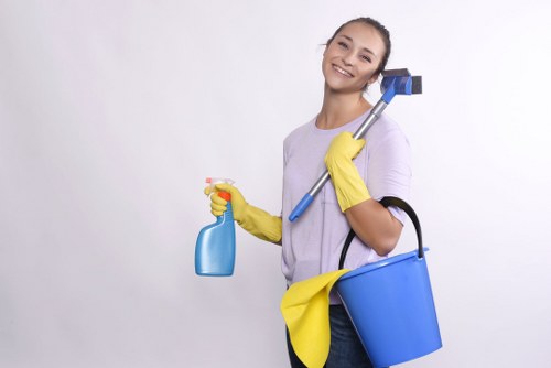 Deep cleaning for a flat or apartment in W13