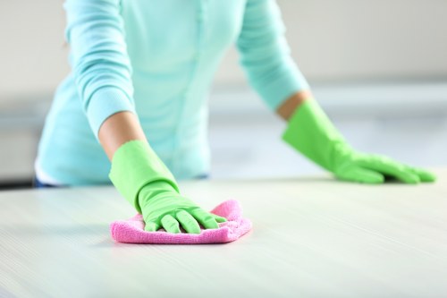Detailed home cleaning for kitchens and living spaces in W13