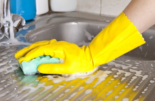 Domestic cleaning support in West Ealing W13