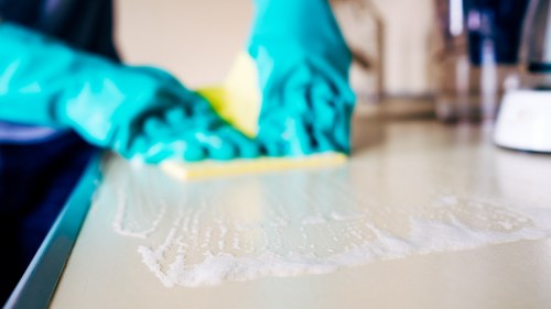 Delicate rug care and deep cleaning process in W13