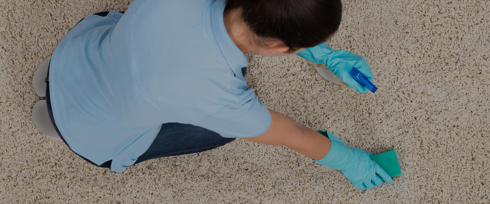 Carpet Cleaning W13